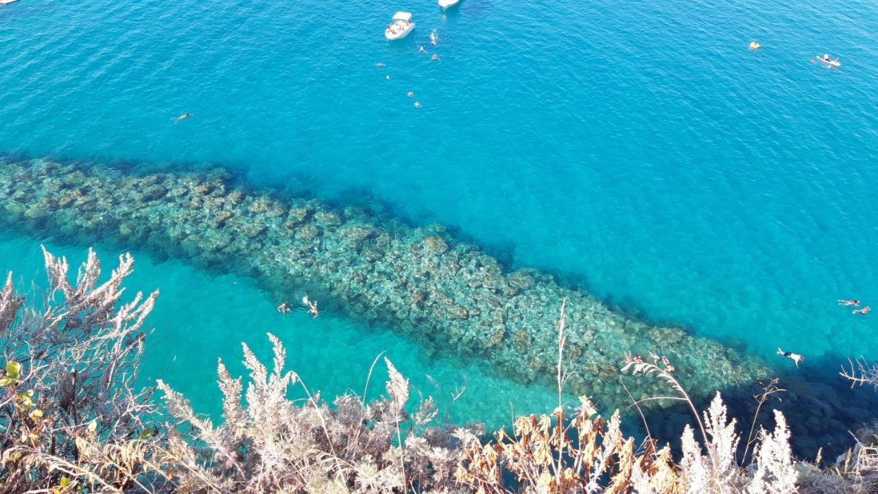 Villa Nove - Residence Dei Fiori Zambrone Dış mekan fotoğraf