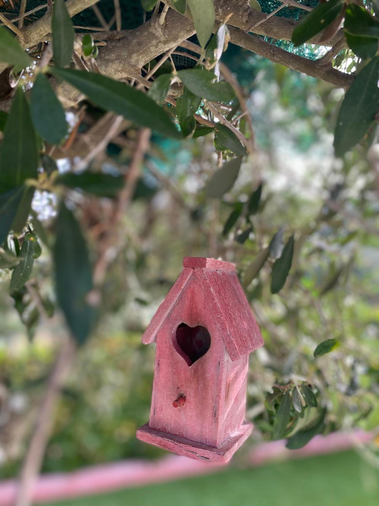 Villa Nove - Residence Dei Fiori Zambrone Dış mekan fotoğraf